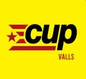 cup valls